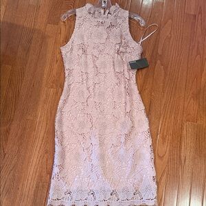 Donna Ricco Blush Lace Midi Dress